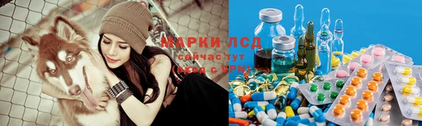 хмурый Нея