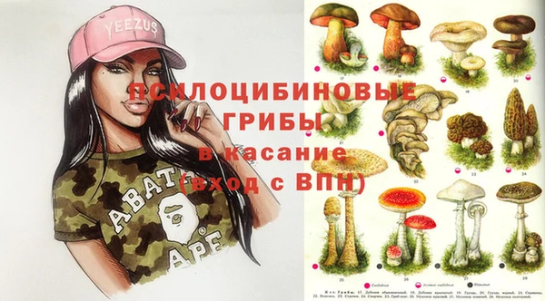 гашик Нефтегорск