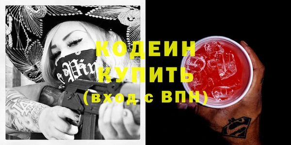 хмурый Нея