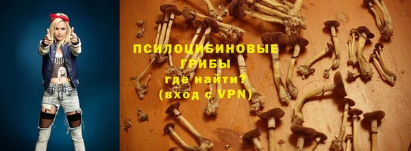 ALPHA PVP Нефтекумск