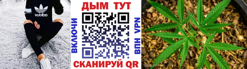 Конопля SATIVA & INDICA  Купить  Карталы 